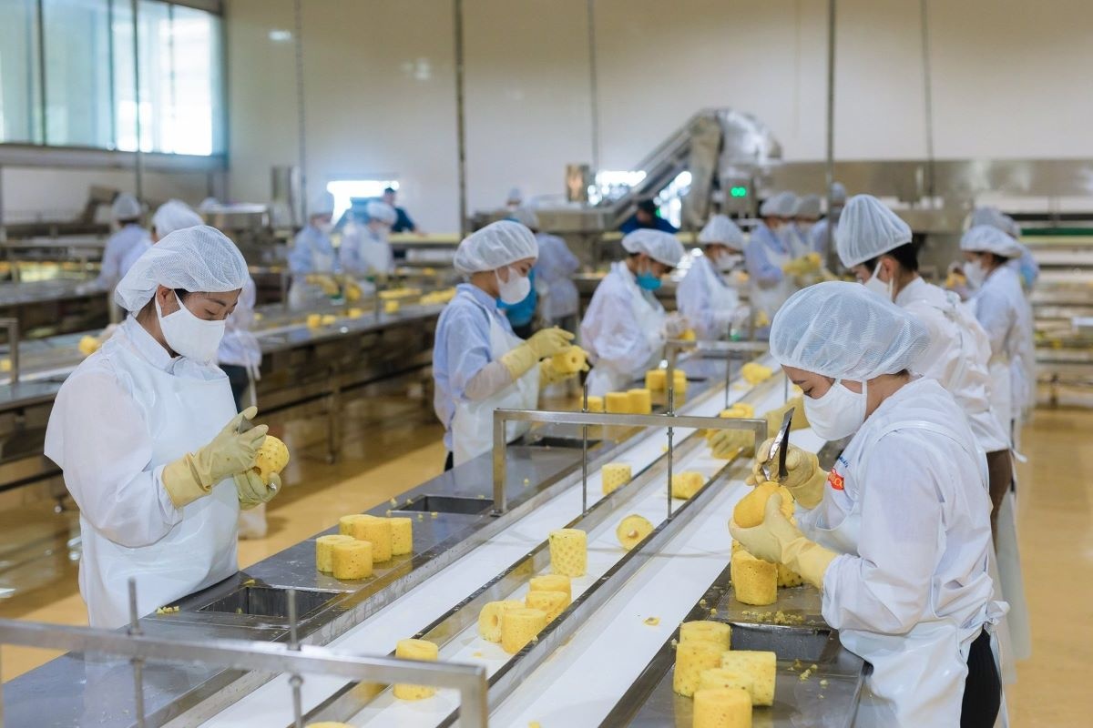 Asia Home Foods - Nhà máy sản xuất thực phẩm tươi từ Ngô ngọt, đậu Hà Lan, Dứa, Xoài.. Giữ trọn vị tươi ngon từ tự nhiên